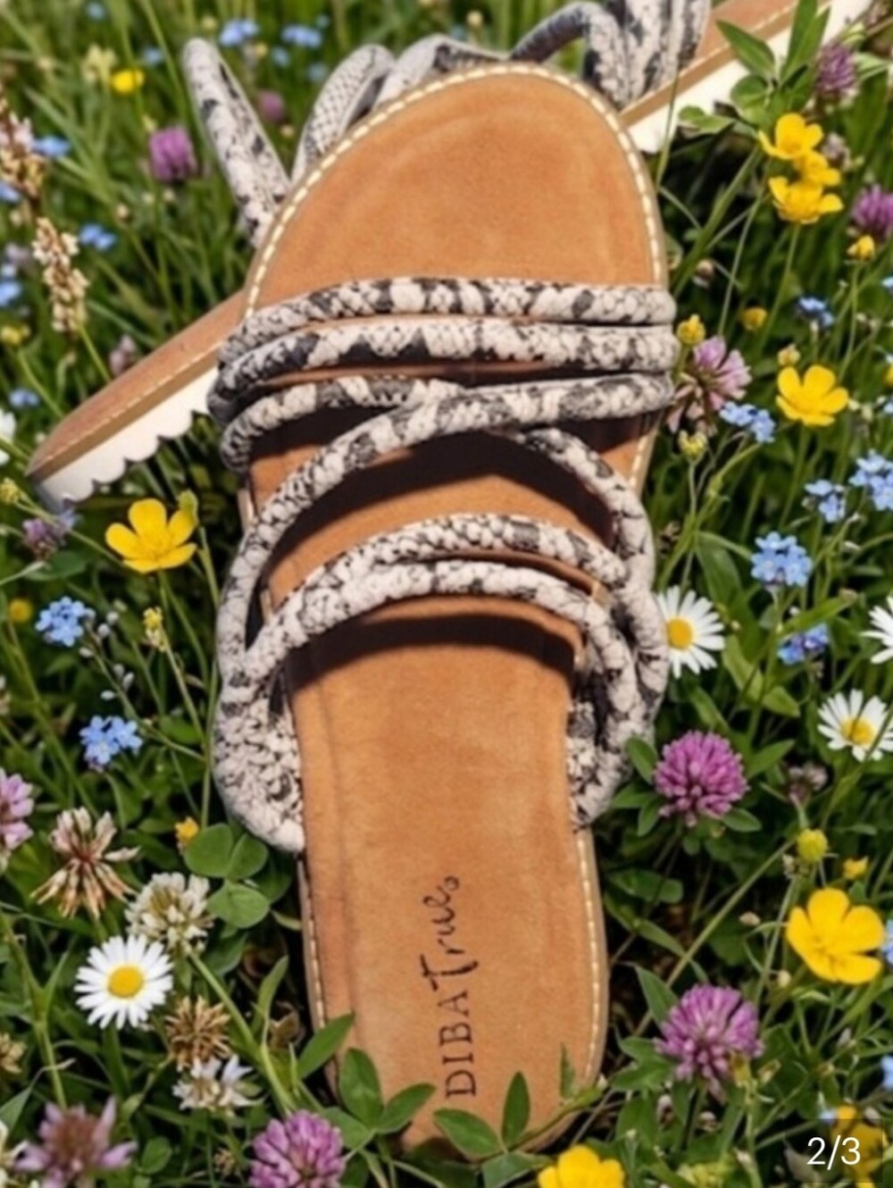 DIBA Women's Snake-Print Strappy Slide Sandal SZ 8 nwot